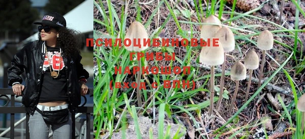 дурь Михайловск