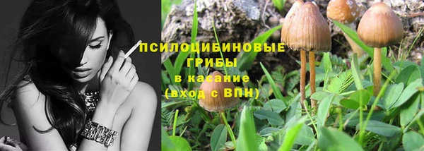 дурь Михайловск