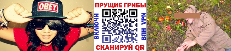 Галлюциногенные грибы прущие грибы  Купить закладки  Черепаново 